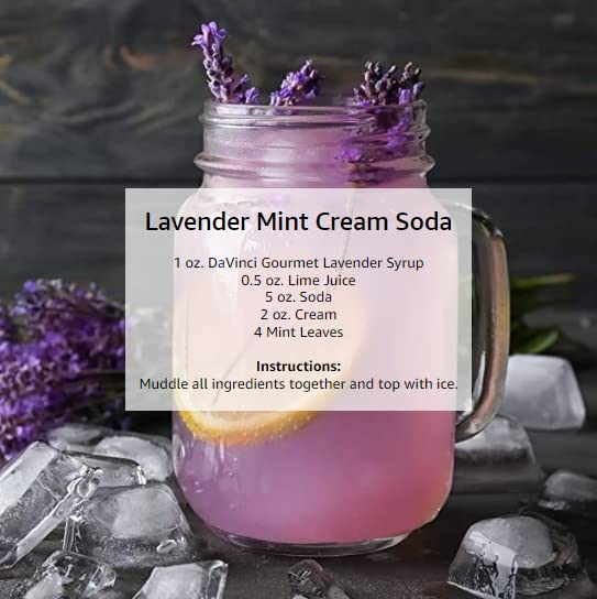 DaVinci Gourmet Lavender Syrup, 25.4 fl oz (Pack of 1)