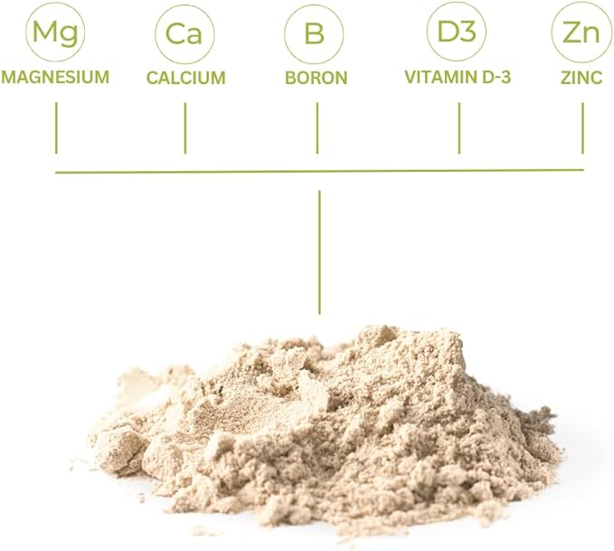 Youngevity Beyond Osteo-FX™ Powder – 1200 mg with Vitamin D3, Tri-Calcium Phosphate, Magnesium, and Zinc – Calcium Citrate Supplement for Women & Men – Non-GMO, Gluten-Free – Tropical Vanilla