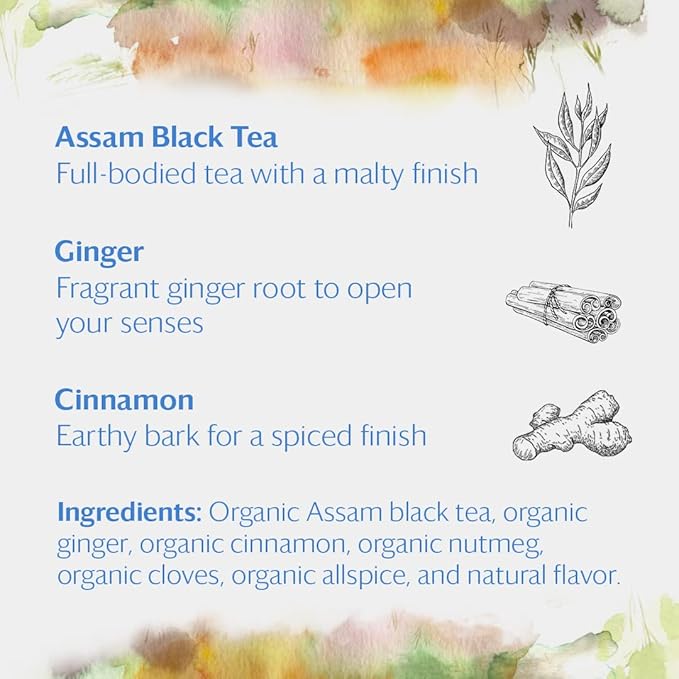 Grace Farms Organic Classic Chai Black Tea, 16 Pyramid Sachets | Ginger & Spices | Fairtrade & Kosher |Gives Back 100% of Profits