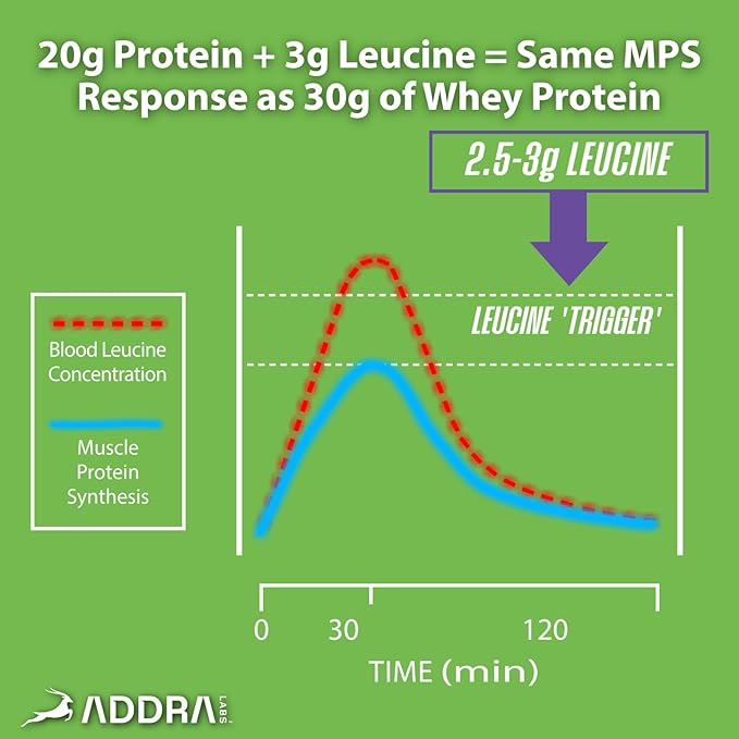 ADDRA Vegan Protein Bars – Variety Pack of 8 – 20g Plant Protein + 3g Leucine – Recovery Snack for Endurance Athletes – Low Sugar, Gluten-Free, High Protein Bar