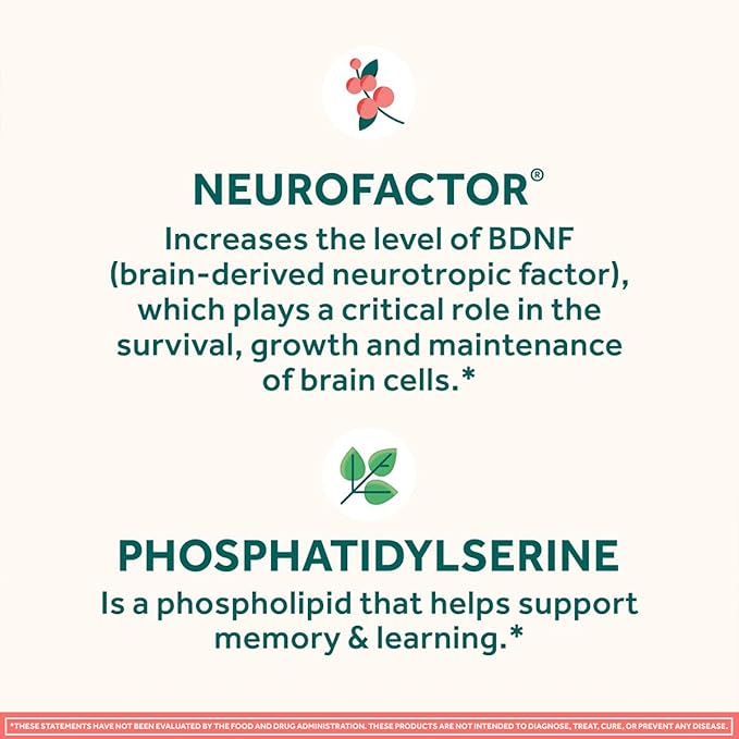 NEURIVA Original Brain Supplement for Memory, Focus & Concentration + Learning & Accuracy with Clinically Tested Nootropics Phosphatidylserine and Neurofactor, Strawberry Flavor, 50 Gummies (2 Pack)