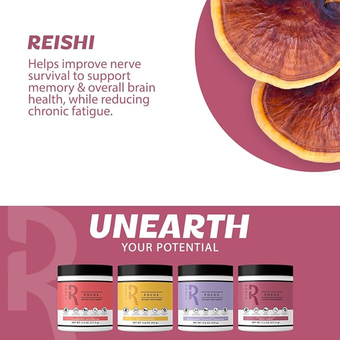 Roots Focus Nootropic Brain Supplement - BlackBerry Lavender Lemonade, Blend of Lion's Mane, Cordyceps, & Reishi Functional Mushrooms + Extended-Release Caffeine, 50 Servings