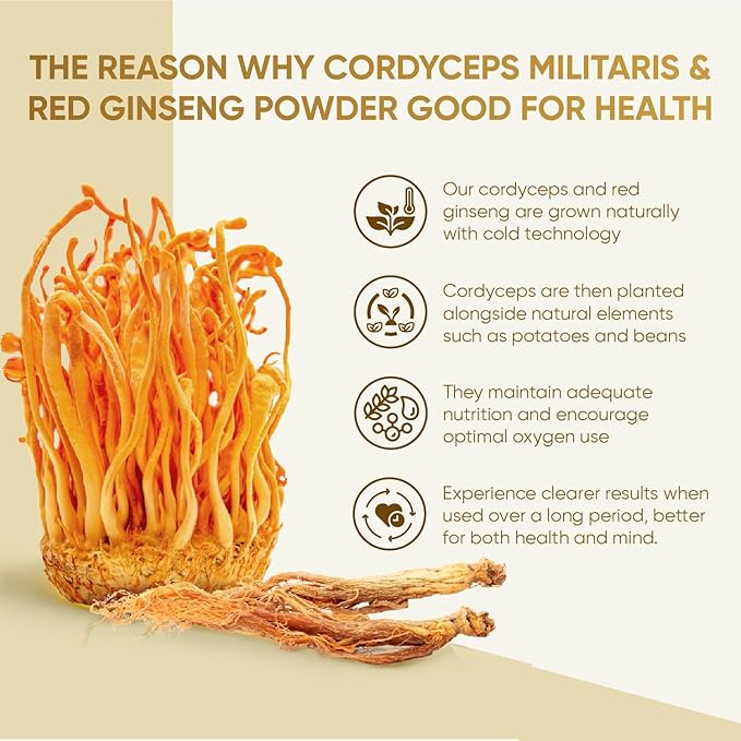 Dong Thao NAM - Organic Red Ginseng and Cordyceps Powder, 6 in 1 Herbal Extract, Increases Alertness, Increases Energy and Reduces Fatigue, Caffeine Free, Pack of 30