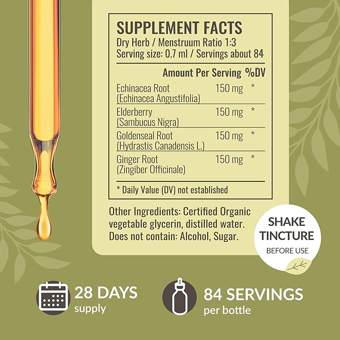 HERBAMAMA Liquid Immune Support Drops - Vegan Echinacea Goldenseal Tincture with Ginger Root & Elderberry - Non-GMO, Alcohol & Sugar-Free Supplement with Immune Support Herbs, 28-Day Supply