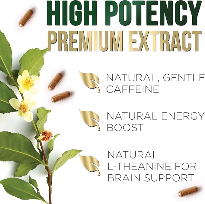 Green Tea Extract Supplement Pills 1000mg - 98% Standardized EGCG with Polyphenols - 3X Strength for Natural Energy - Supports Heart and Antioxidant Health - Nature's Gentle Caffeine - 240 Capsules
