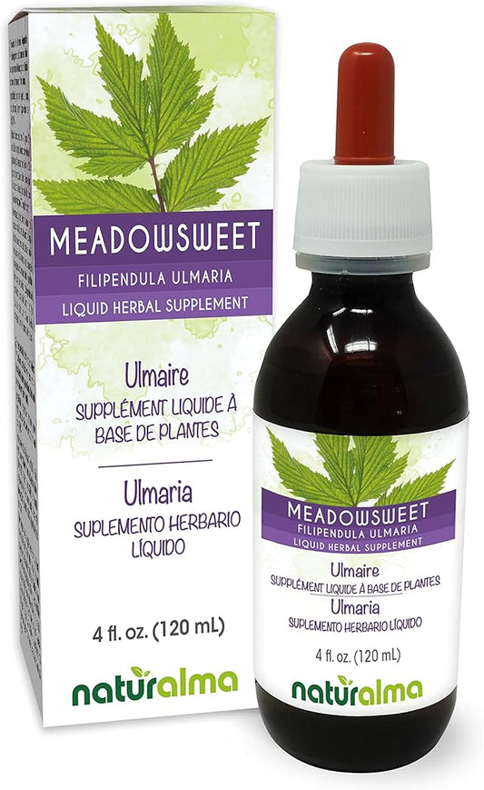 Naturalma Meadowsweet (Filipendula ulmaria or Spirea ulmaria) Flower Alcohol-Free Tincture - 4 fl oz Liquid Extract in Drops - Herbal Supplement - Vegan