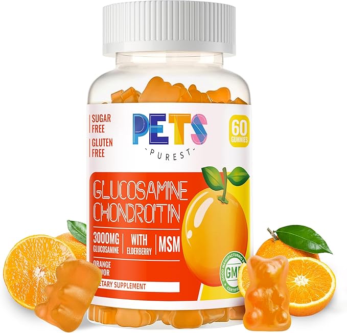 Glucosamine Chondroitin Gummies with MSM & Elderberry Extra Strength - Joint Support, Antioxidant Immune Support Supplement for Adults, Men & Women.Orange