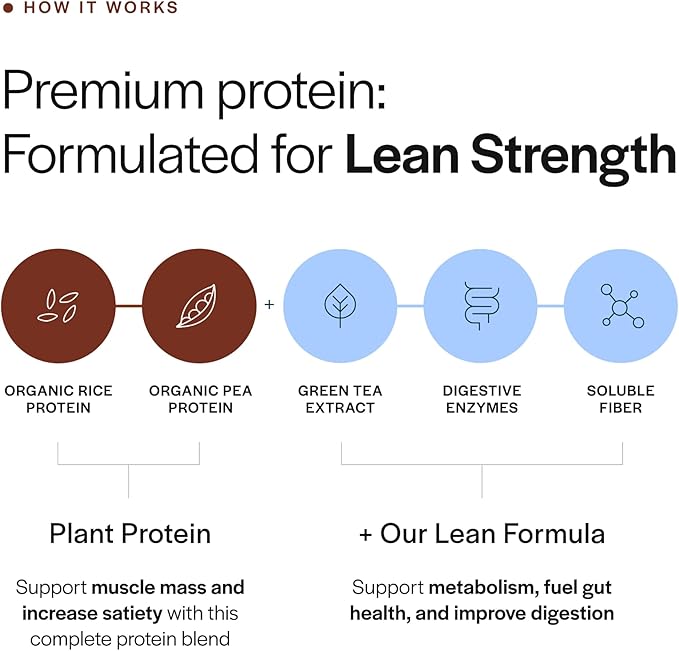 Gainful Lean Plant Protein Powder, 20g Plant Protein per Serving, Unflavored, Supports Lean Muscle, Metabolism, & Satiety, with Green Tea Extract, Digestive Enzymes, Organic Fiber, Vegan, 14 Servings