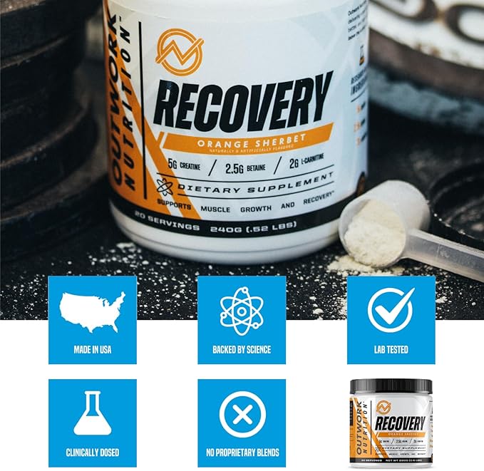 Outwork Nutrition Recovery Drink - Post Workout Recovery Powder & Creatine Monohydrate Muscle Builder for Men & Women - Creatine for Men & Women - After Workout Drink - Orange Sherbet - 230g