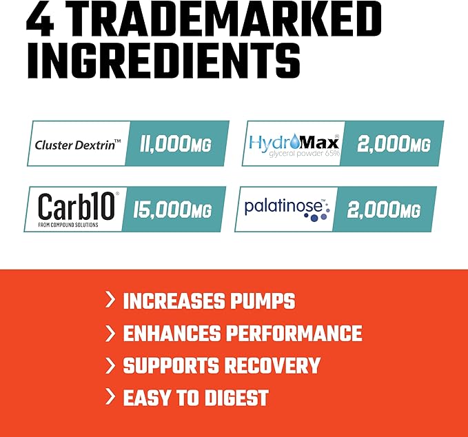 Axe & Sledge Supplements Demo Day Intra-Workout Carbohydrate Powder with Cluster Dextrin, Carb10, Hydromax, & Palatinose, 30 Servings (Shark Bite)