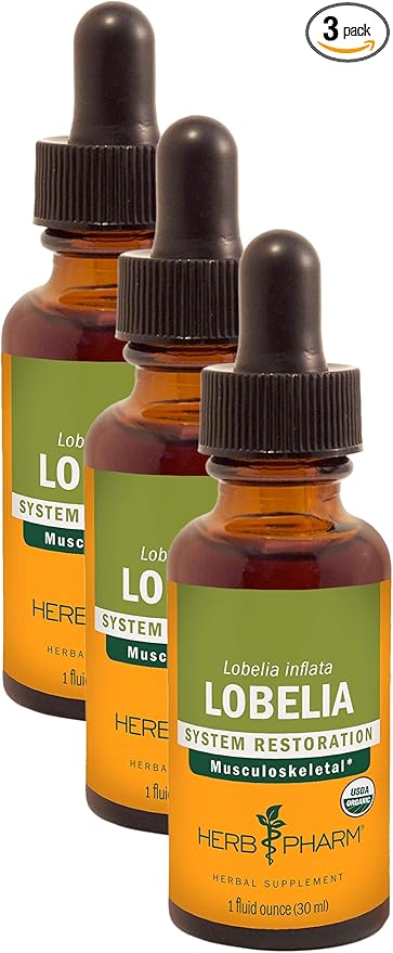 Herb Pharm Certified Organic Lobelia Liquid Extract for Musculoskeletal System Support - 1 Ounce (DLOBEL01) (Pack of 3)
