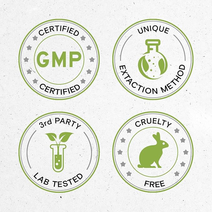Garlic Tincture Alcohol-Free Liquid Extract, Garlic Dried Bulb (2x4 FL OZ)