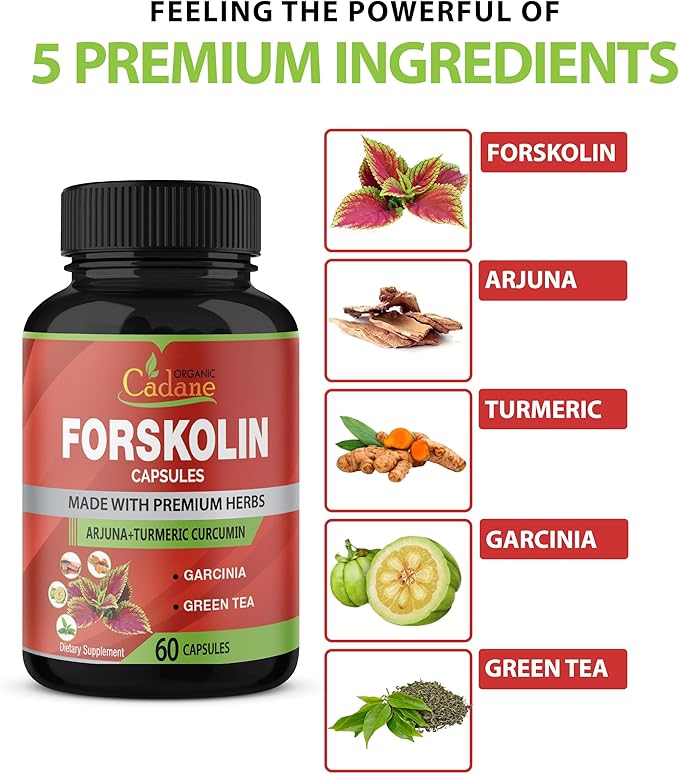 Organic Forskolin Supplements Capsules with Turmeric Curcumin, Arjuna, Garcinia Cambogia, Green Tea - 60 Capsules
