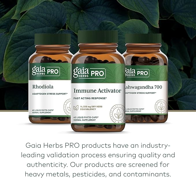 Gaia Herbs Pro Immune Activator - Immune Support Supplement - Features Echinacea, Ginger Root, Elderberry & Andrographis - Vegan, Dairy-Free & Gluten-Free - 40 Liquid Phyto-Caps (20 Servings)
