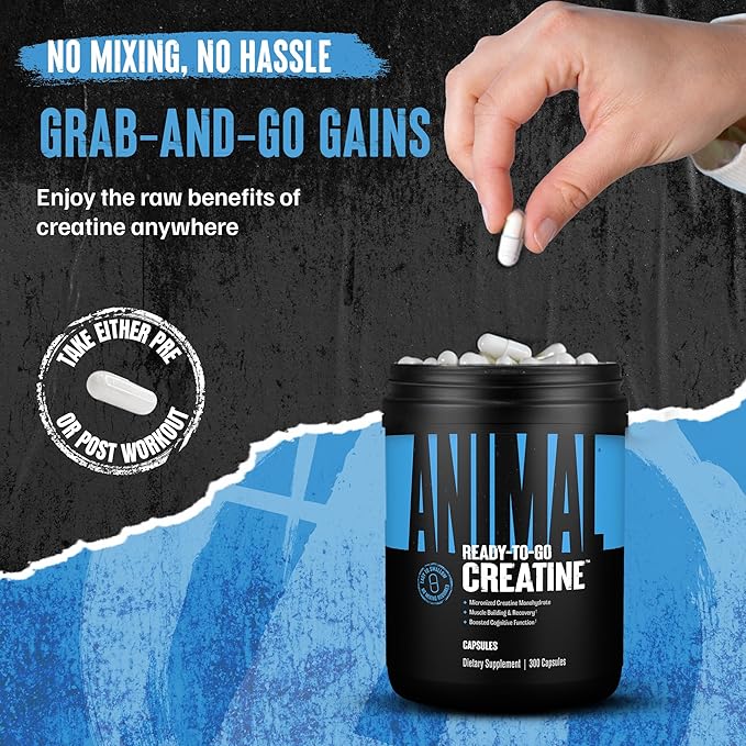 Animal Micronized Creatine Monohydrate Capsules - 300 Caps, 2500mg per Serving to Support Muscle Growth, Endurance, ATP Production, Cognitive Function, Strength, Recovery, and Delay Muscle Fatigue