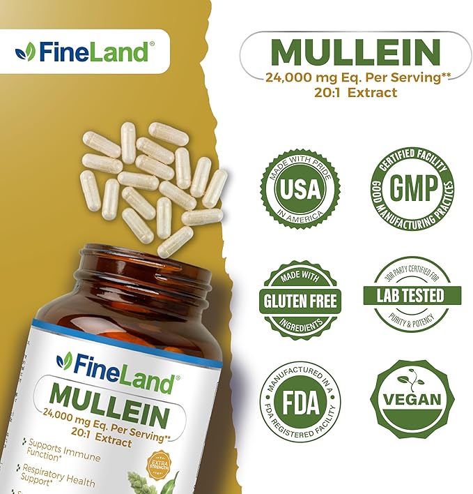 FineLand Mullein Leaf 20x Extract 24,000mg Eq. Per Serving, Max Strength Immune Support, Respiratory, Lung & Bronchial Support, Sinus, 120 Capsules, 2 Month Supply