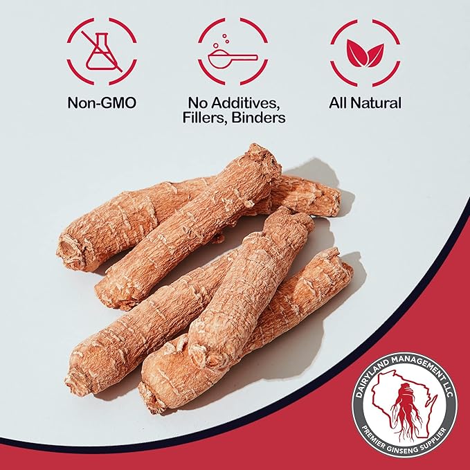 Dairyland Red Ginseng Extract 2 FL oz - Red Panax Ginseng Extract for Immune Support - Authentic Korean Red Ginseng - Non-GMO, Gluten Free Ginseng Liquid - Ginseng HerbSupplement for Daily Use