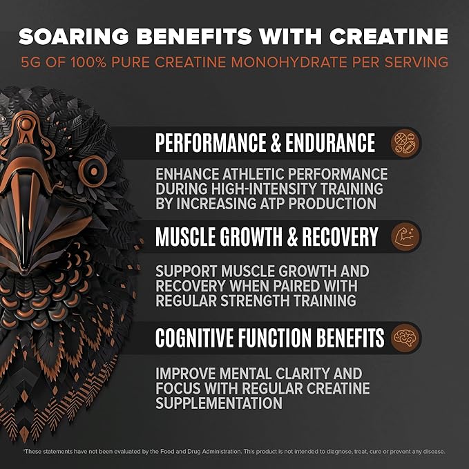 Falcon Performance Vegan Protein Powder, 31g Protein, 5g Creatine, 5g BCAA, Probiotics, Electrolytes, Pre Workout, Low Carb, Sugar Free & Dairy Free, Plant Based Chocolate Protein -19 servings