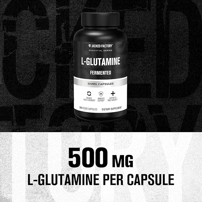 Jacked Factory L-Glutamine Capsules 500mg - Vegan Fermented L Glutamine Supplement for Post Workout Muscle Recovery, Immunity, Digestive Health - 240 Capsules