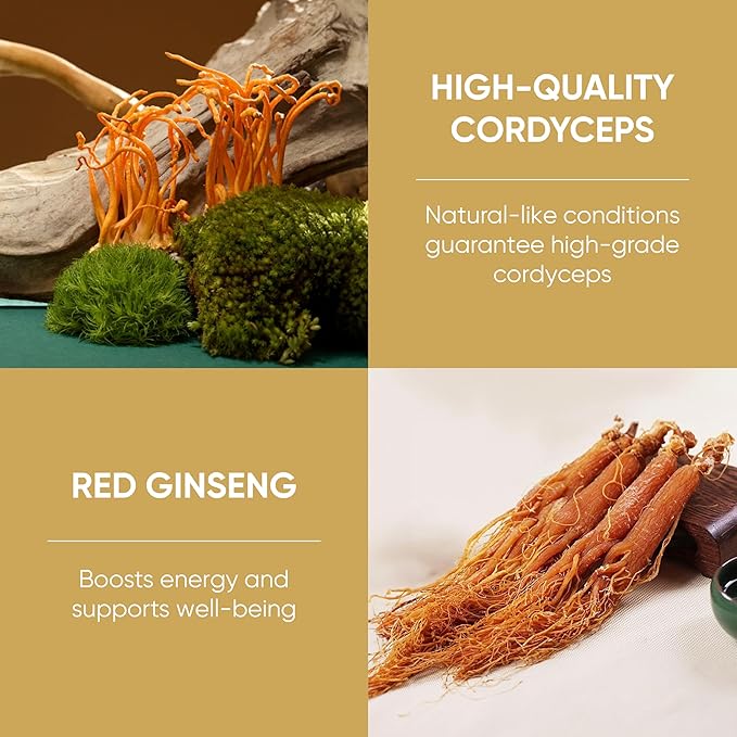 Dong Thao NAM - Organic Red Ginseng and Cordyceps Powder, 6 in 1 Herbal Extract, Increases Alertness, Increases Energy and Reduces Fatigue, Caffeine Free, Pack of 30