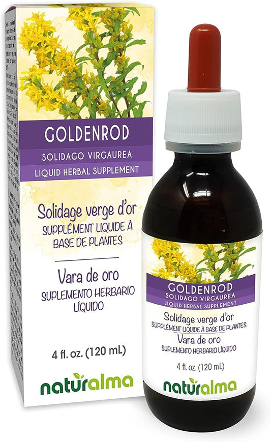Naturalma Goldenrod (Solidago virgaurea) herb with Flowers Alcohol-Free Tincture - 4 fl oz Liquid Extract in Drops - Herbal Supplement - Vegan