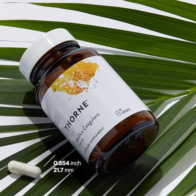 THORNE Bacillus Coagulans Probiotic - Shelf Stable Probiotic Supplement to Promote GI Health* - 60 Capsules