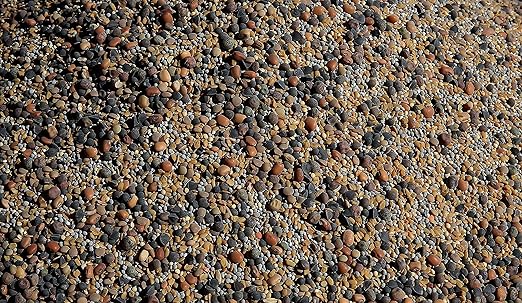 No-Till Cover Crop 13-Seed Mix (1 lb. Bag): [50% Clovers Plus Fenugreek, Vetch, Flax, Cowpeas, Buckwheat, Forage Peas, Millet, Lentils, Crimson Clover, Sweet Yellow, White Clover, Medium Red Clover]
