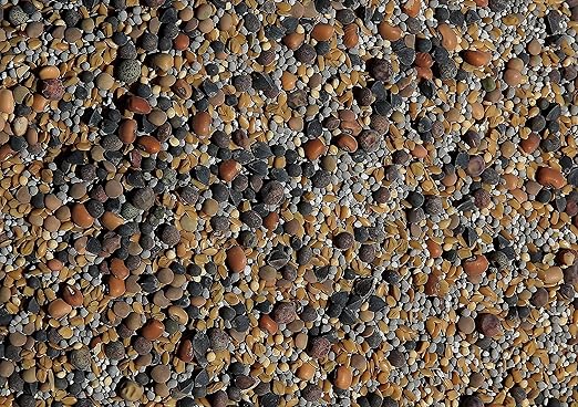 No-Till Cover Crop 13-Seed Mix (1 lb. Bag): [50% Clovers Plus Fenugreek, Vetch, Flax, Cowpeas, Buckwheat, Forage Peas, Millet, Lentils, Crimson Clover, Sweet Yellow, White Clover, Medium Red Clover]