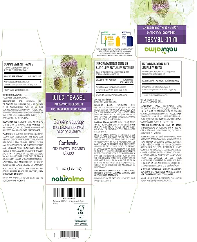 Naturalma Wild Teasel or Fuller's Teasel (Dipsacus fullonum or D. sylvestris) Root Alcohol-Free Tincture - 4 fl oz Liquid Extract in Drops - Herbal Supplement - Vegan